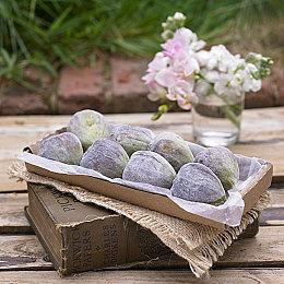 NEXON PvPvE新作《ARC Raiders》即将推出！ 10月17日起开放3天压力测试！